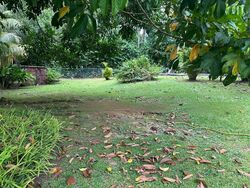 Binjai Park (D21), Detached #477949071